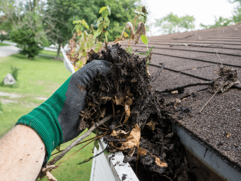 The Importance of Gutters and How to Maintain Them Evershield Roofing