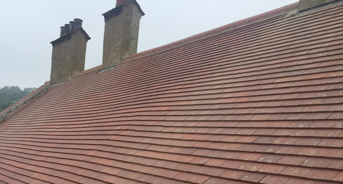 roof cleaning service